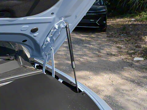 2026�� 650����������