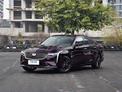 2023�� 25T ������