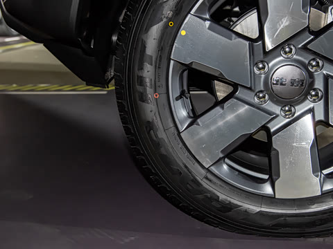 2025�� Ԫ�����а�