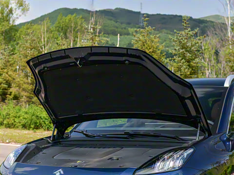 2025�� �Ŀ� 350 Max���������״��