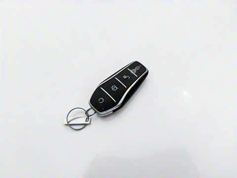 2025�� DM-i 121�캽��