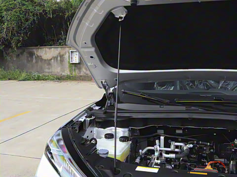 2025�� 518�����͹ھ���