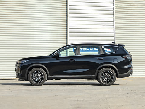 2026�� 290TGDI DCT������ 5��