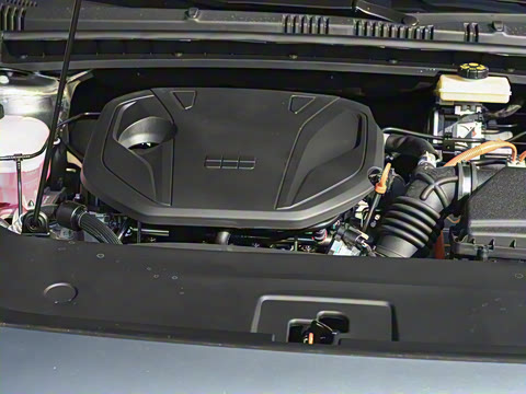 2026�� 60km̽����