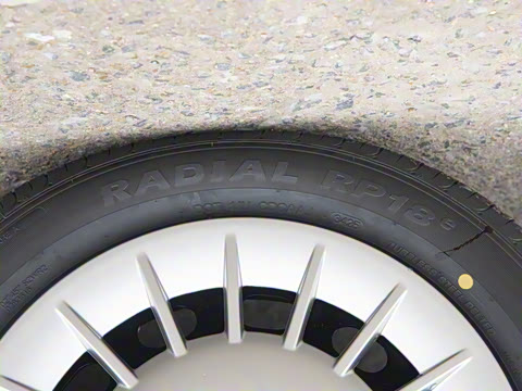 2025�� ������