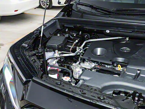 2026�� 2.0L ����������