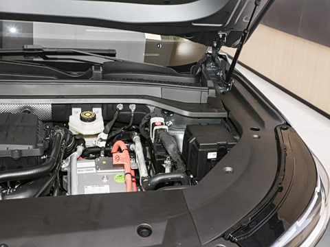 2025�� 120 �������������� 7�� �������