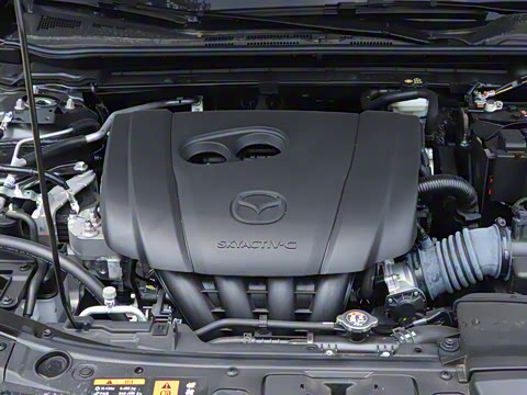 2025�� 2.0L �Զ����Ű�