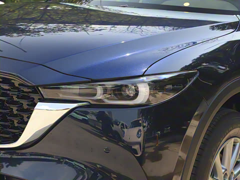 2025�� 2.0L �Զ���������Pro