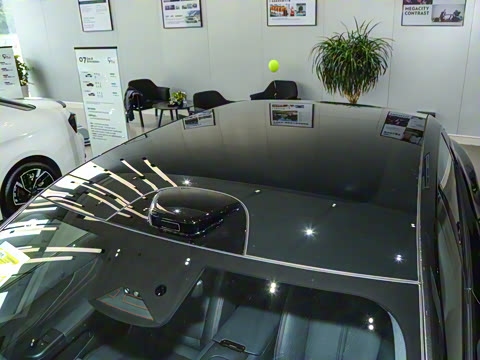 2026�� 126������ Max