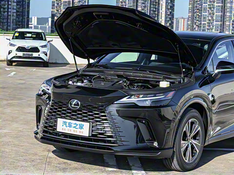 2026�� 300 ����������