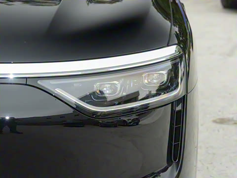 2025�� ���� Max+ ������������ 