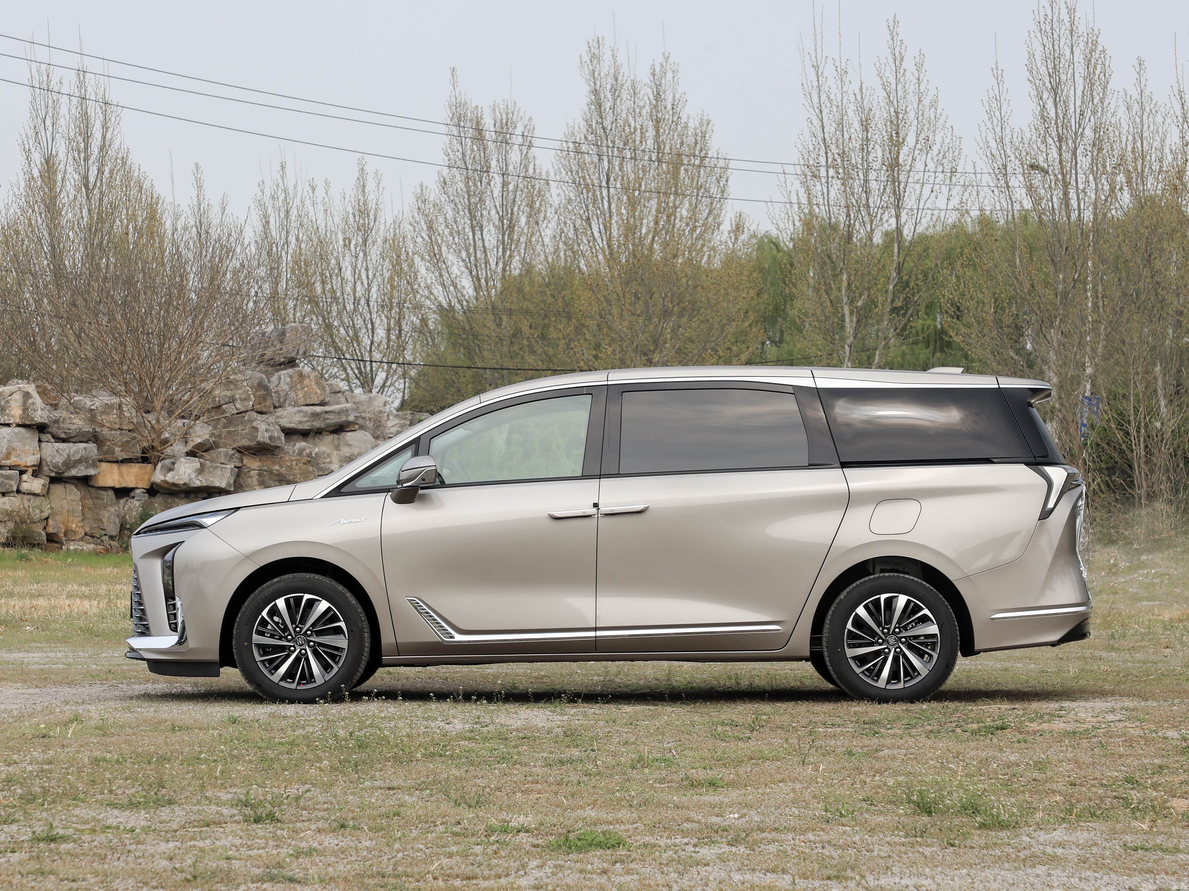 Buick GL8, миниатюра 4