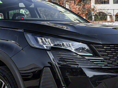 2025�� ������