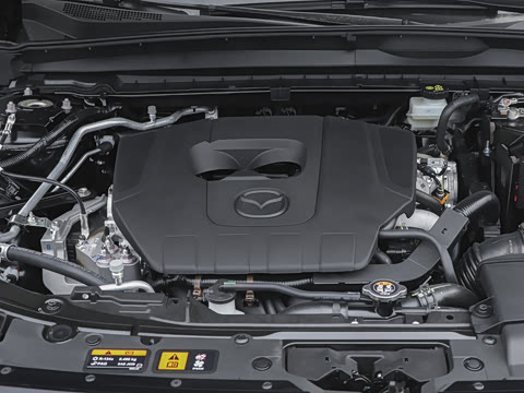 2026�� 2.5L ���а�