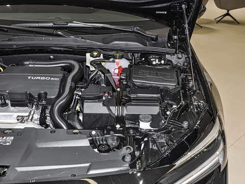 2025�� 25T ������