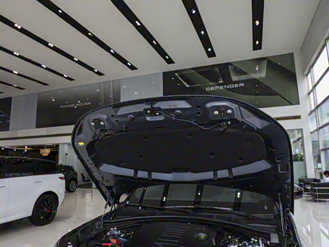 2026�� 250PS Dynamic SE