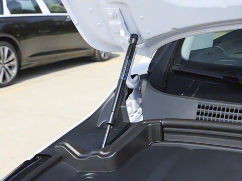 2026�� EV Ǭ��Max