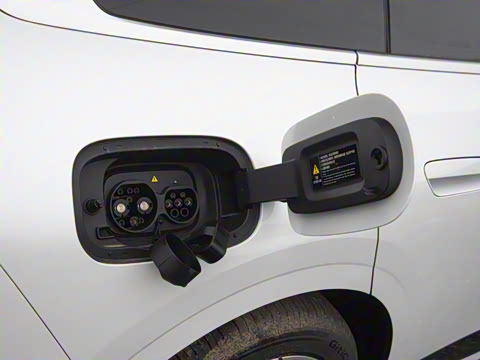 2026�� �����������̰� 310�콢��