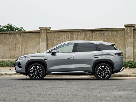 2026�� DM-i 310KM ׿Խ��