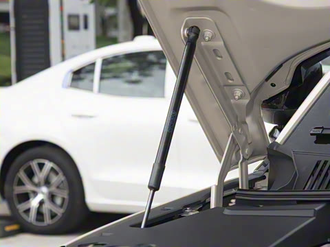 2026�� ������������Plus