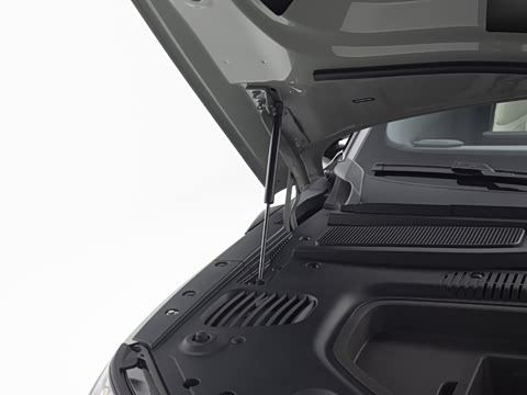 2026�� ����� ����