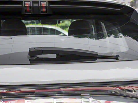 2025�� 100������Plus����