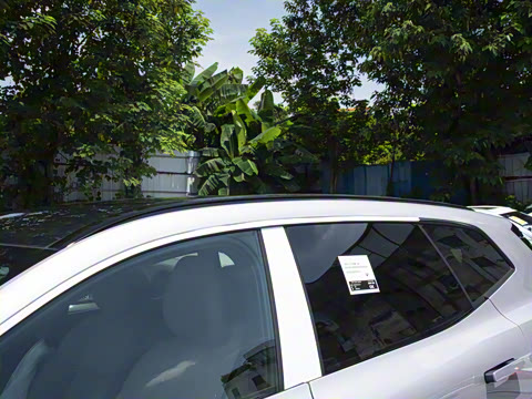 2026�� ������������Plus