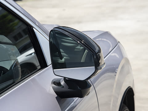 2026�� ������������Plus