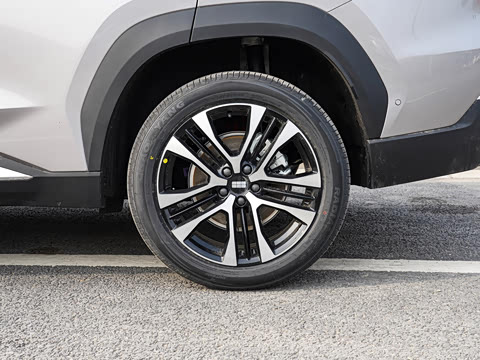 2026�� 225km ����