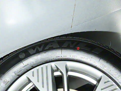 2025�� 565km �����