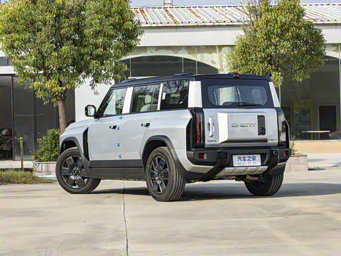 2025�� 520���������