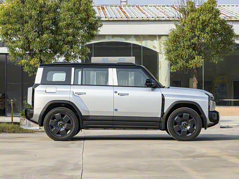 2025�� 520���������