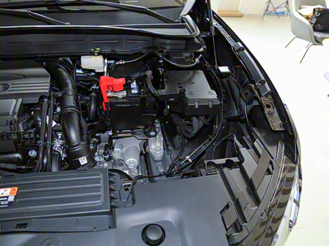 2026�� ���L 2.0T EcoBoost ��������������