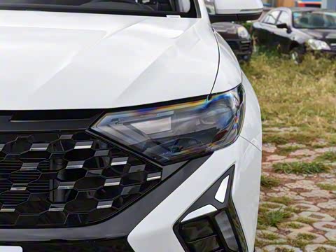 2026�� 280TSI �Զ��ȷ��