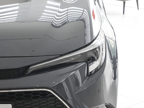 2026�� ����L 185T ������