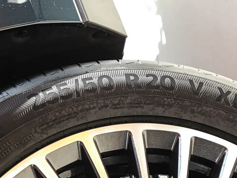 2026�� ����Max�� 7��