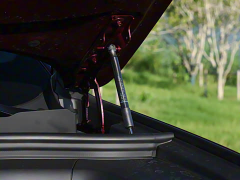 2026�� ���� Ultra������ 6��