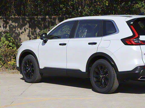 2026�� ȫ��30����ҫ�� 2.0L e:HEV �������а�