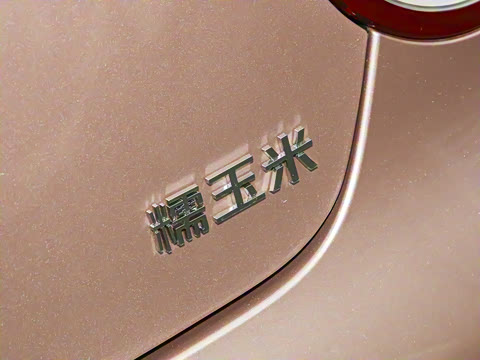 2025�� 301km ���߿�