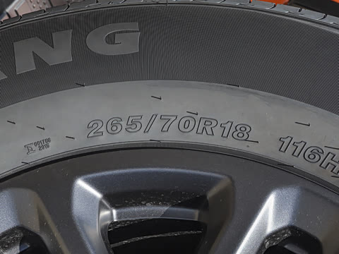 2025�� ̽Ұ�� 5��