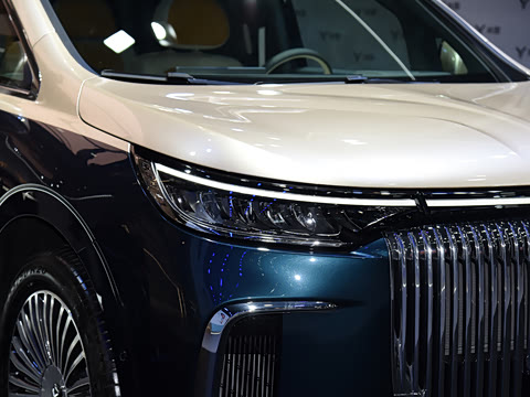 2025�� PHEV �����߶���