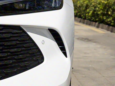 2026�� DM-i 210KM������