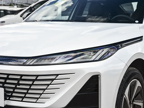 2026�� 1.5L �������� ������