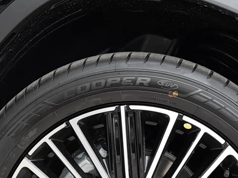 2026�� 300T ������Խ��