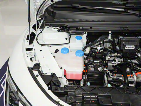 2026�� 565������