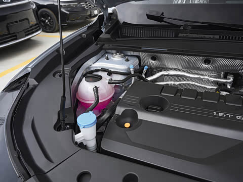 2026�� ����� ���� ����1.6T �Զ�������