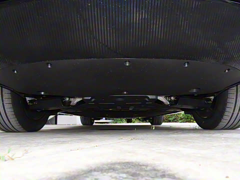 2025�� Max �����