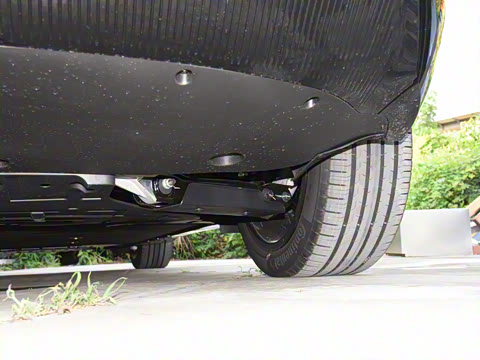 2025�� Max �����