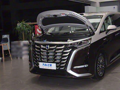 2025�� DM-i ����������